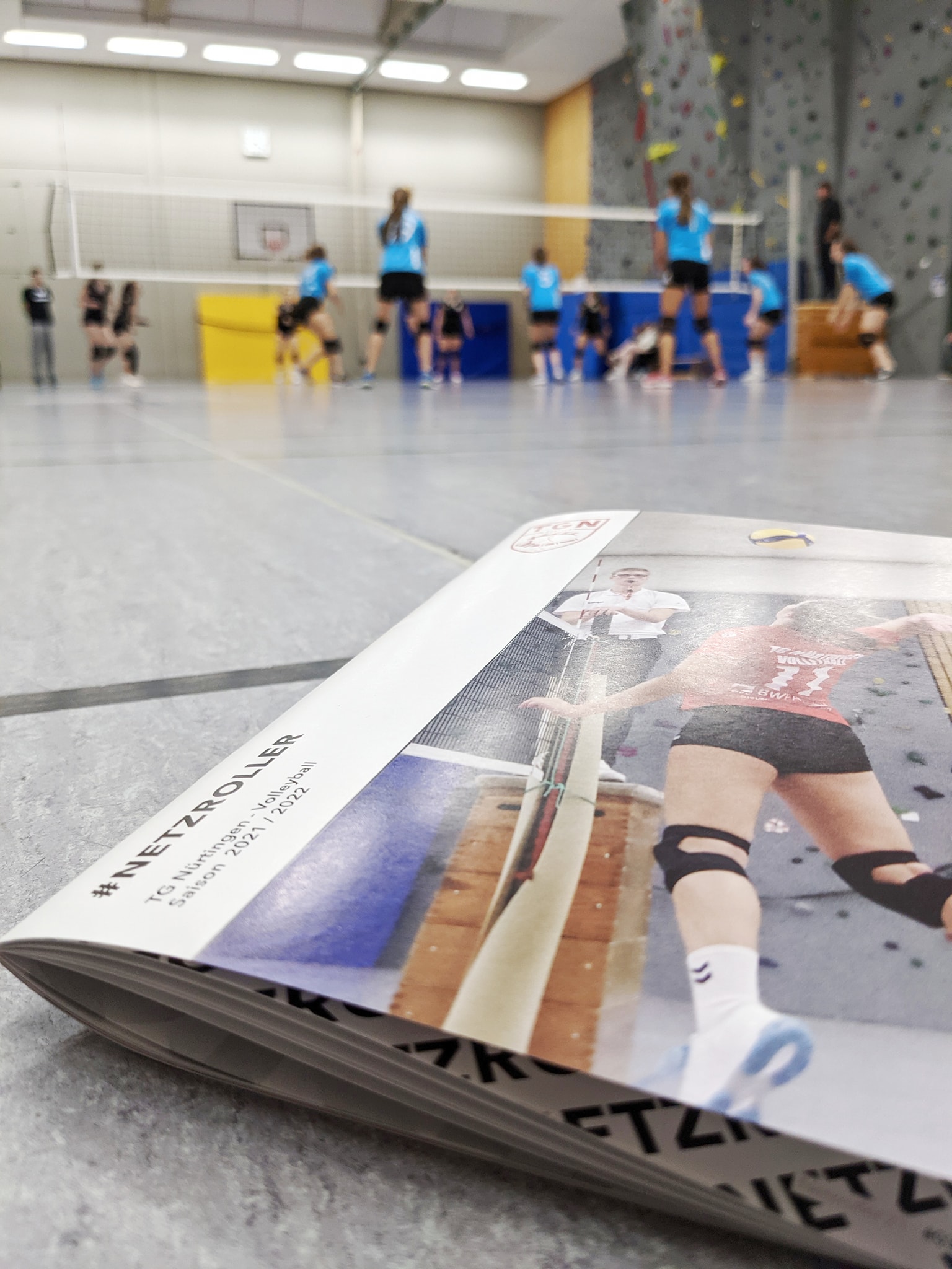ASV Botnang Abt. Volleyball - Von Esslinger Adlern zu Botnanger # ...