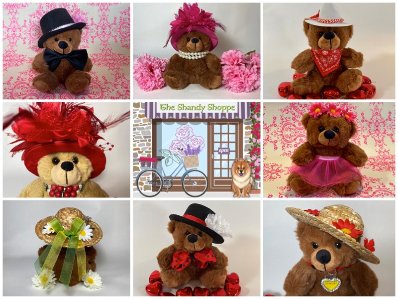 Our loveable Shoney Bear® plush is available to bring home with