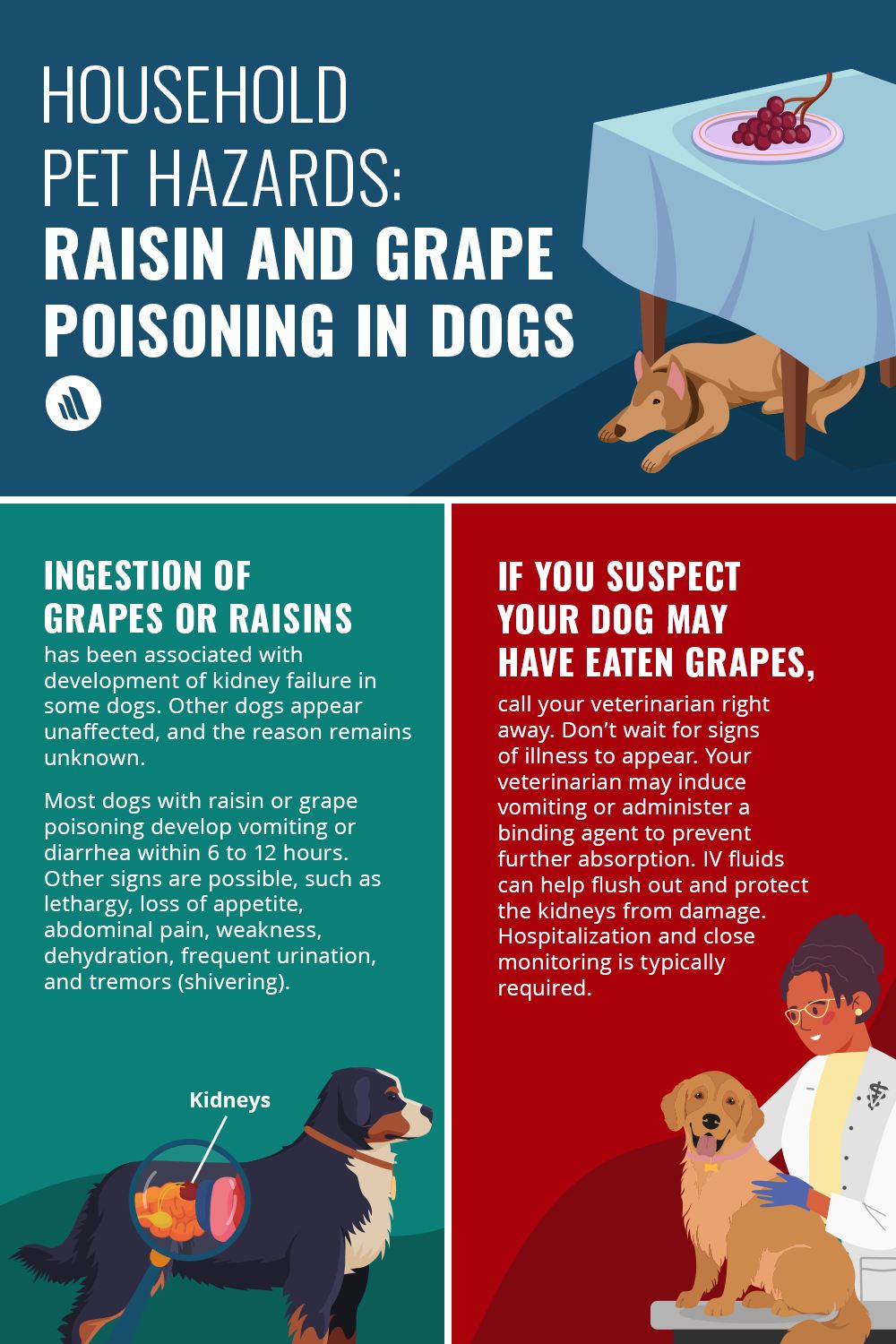 The Merck - Are your clients keeping their pets safe from food hazards ...