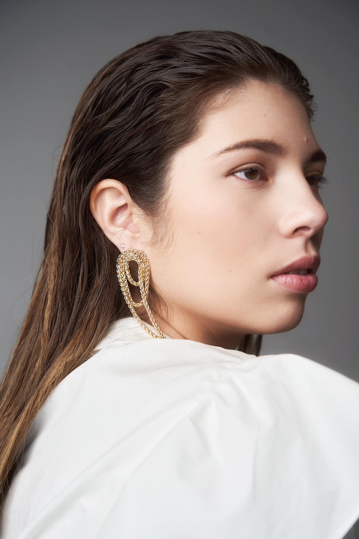Swish Model Management