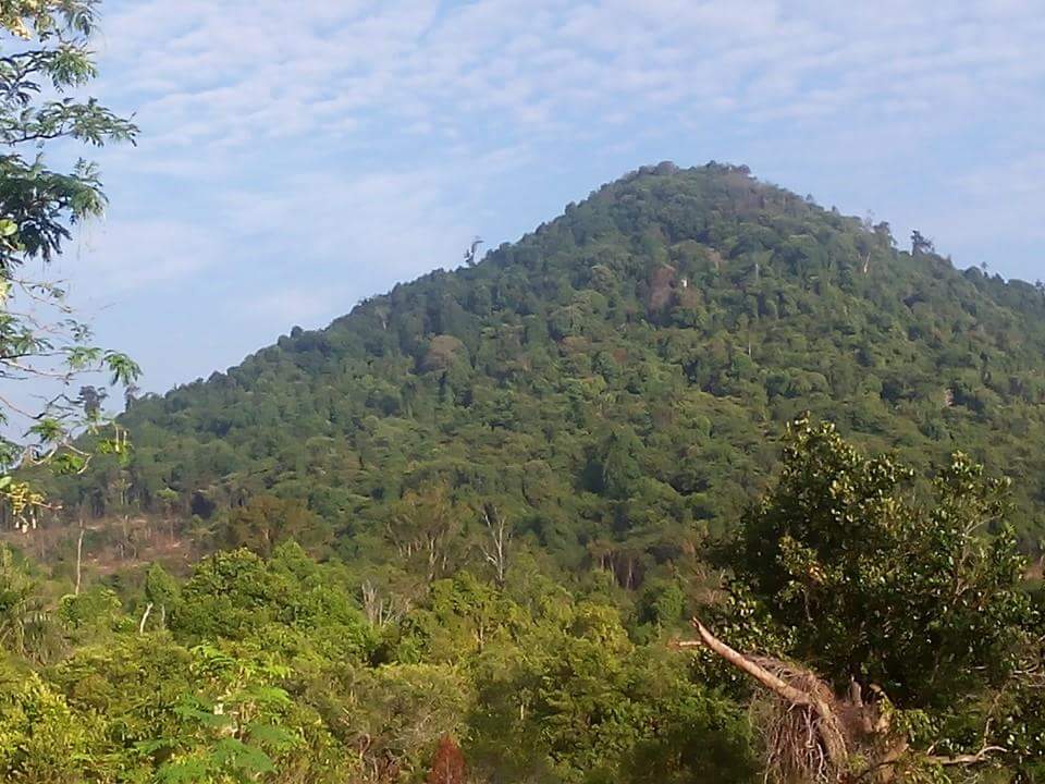 Bukit Pelali Bukit Pelali Pengerang... - Orang Kota - Tinggi
