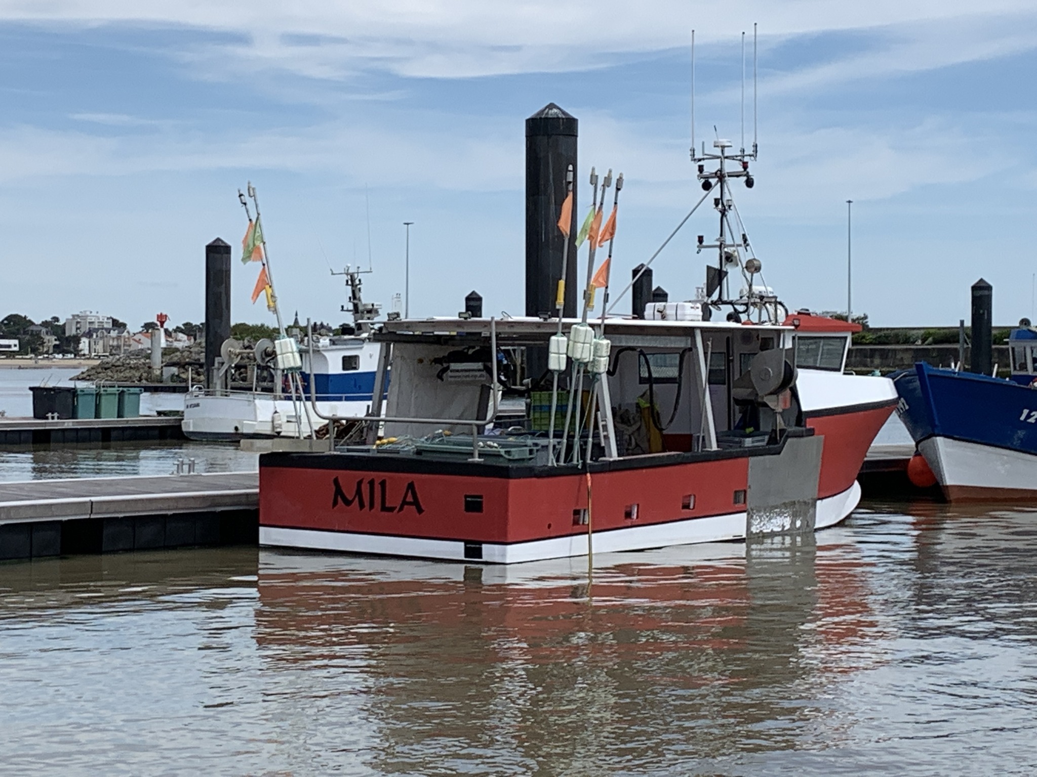 Vente De Poisson En Direct Du Bateau La Rochelle