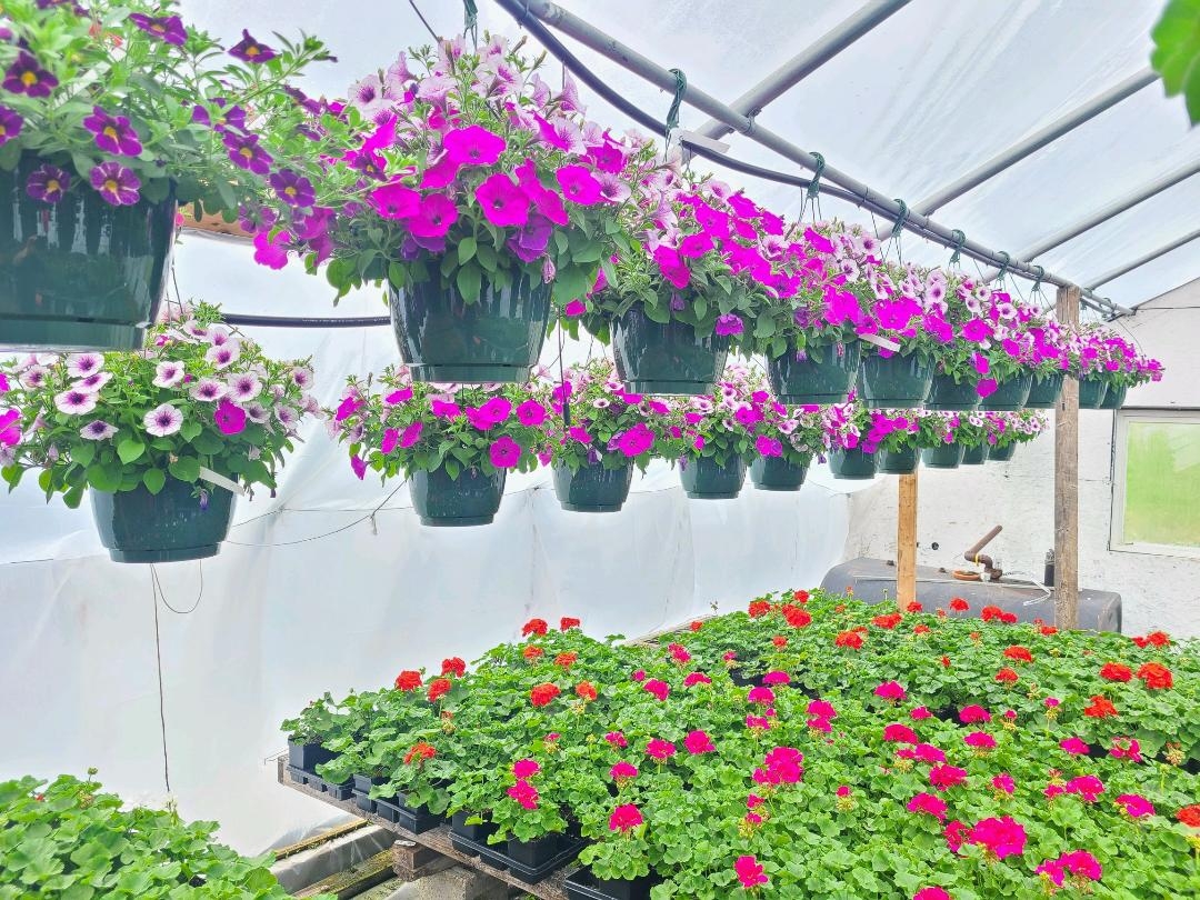 Riff Flower Shop and Greenhouses | Lancaster NH