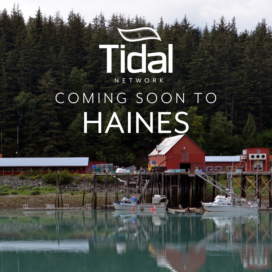 Tidal Network