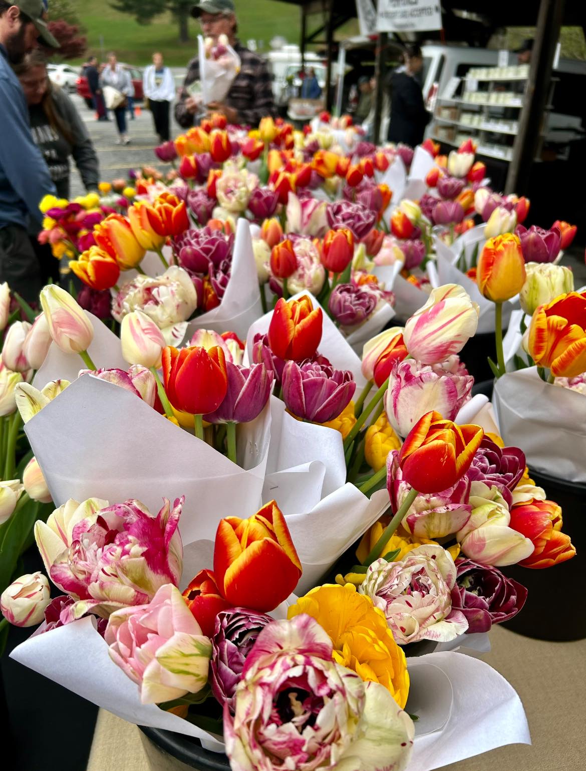 Watauga - 🌷Spring is getting ready to bloom, and so is the Market! 🗓 ...