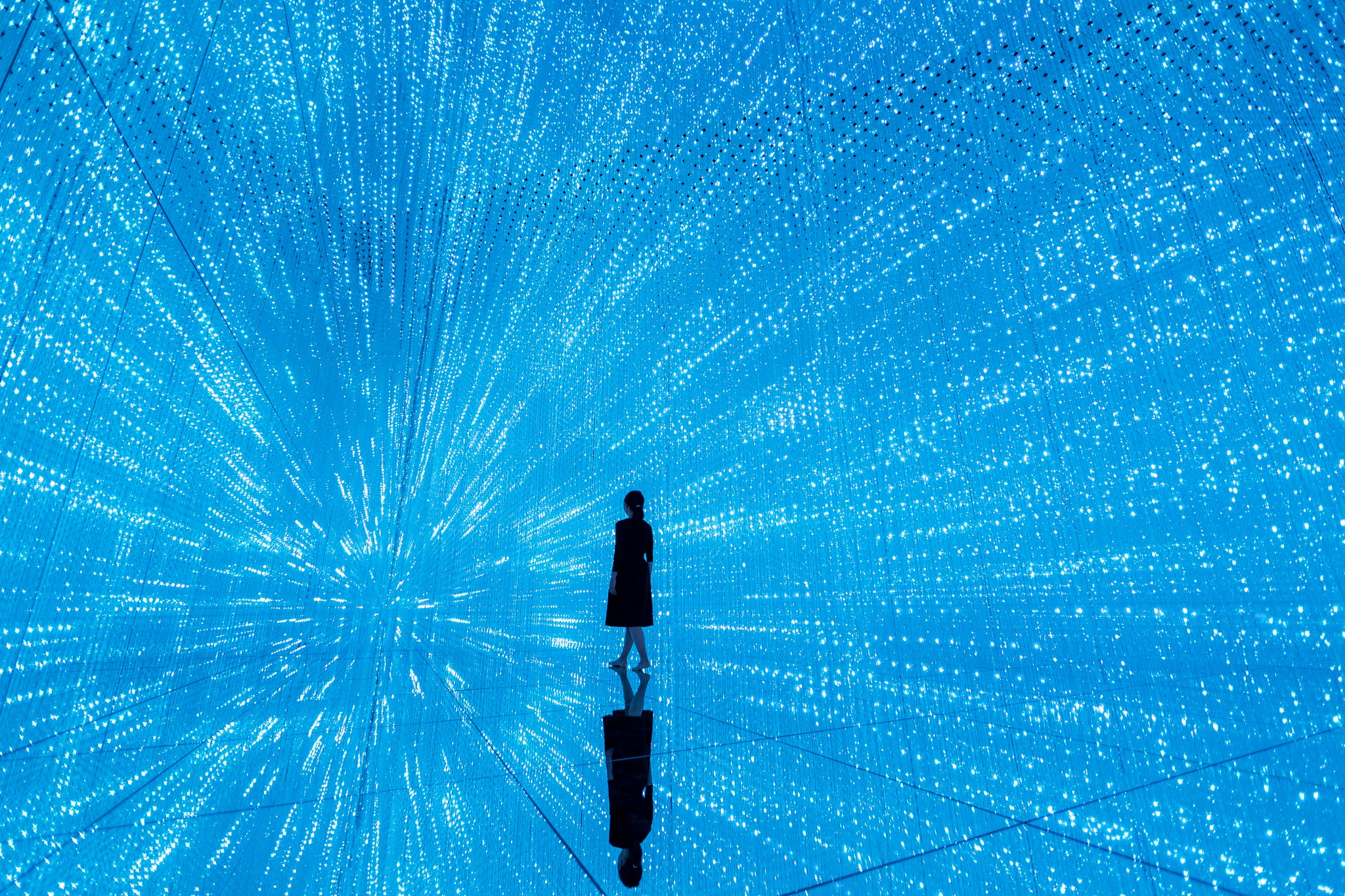 teamLab / チームラボ - Our new museum, teamLab Massless...