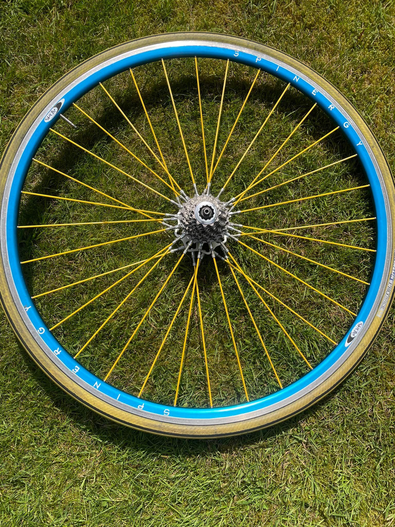 Spinergy Spox 700 wheel set running a Dura-Ace 11/22 rear cassette