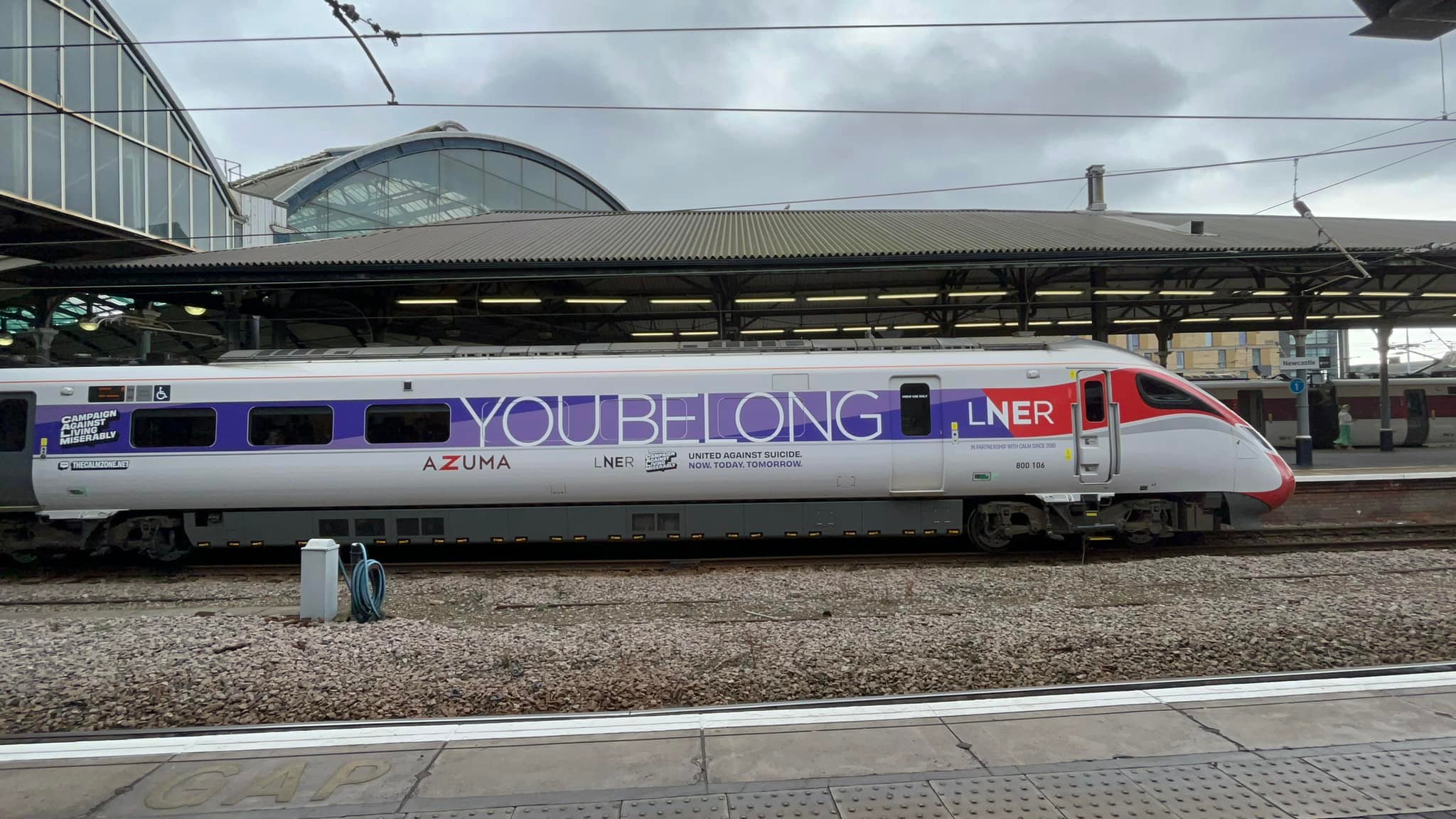 800106 showing off the lavender tone of its You Belong wrap in