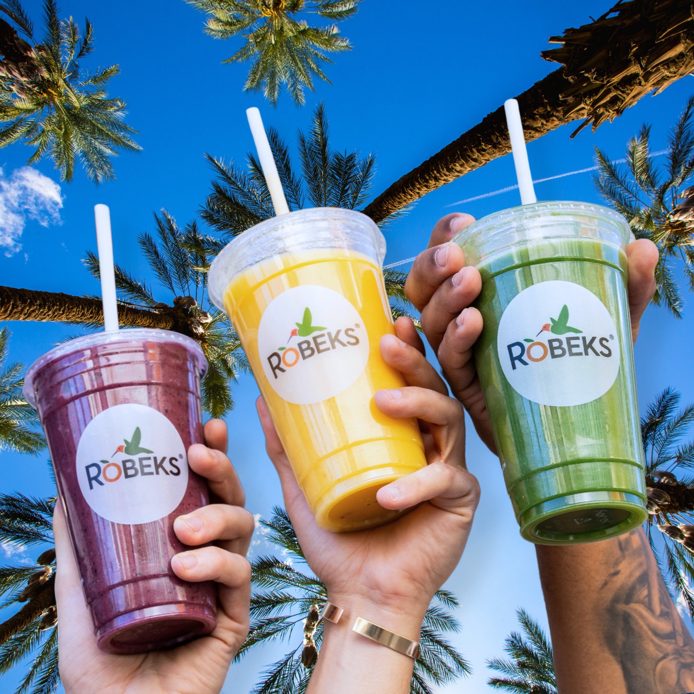 Robeks Fresh Juices & Smoothies | Orland Park IL