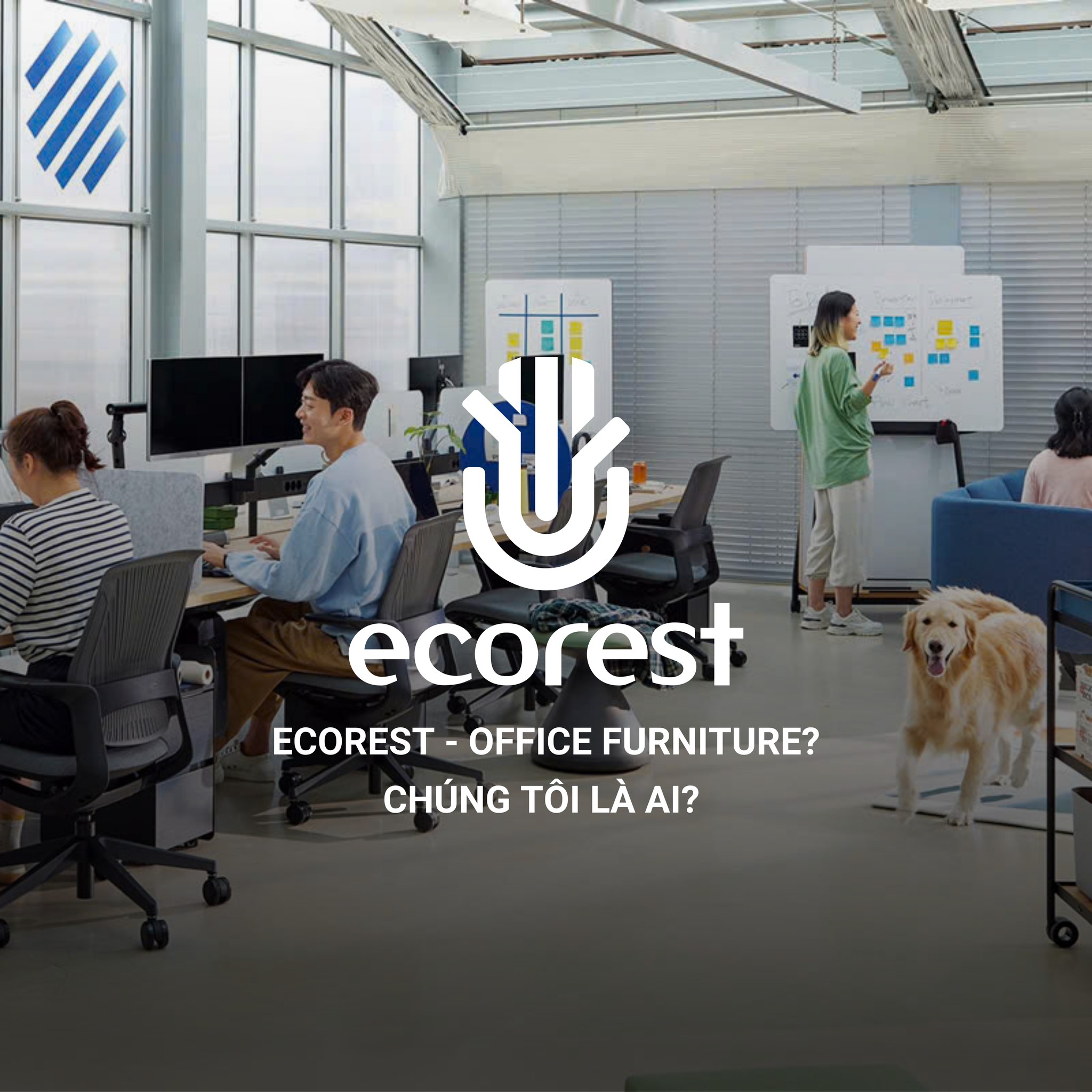 ECOREST - OFFICE FURNITURE?... - Ecorest - Office Furniture | Facebook