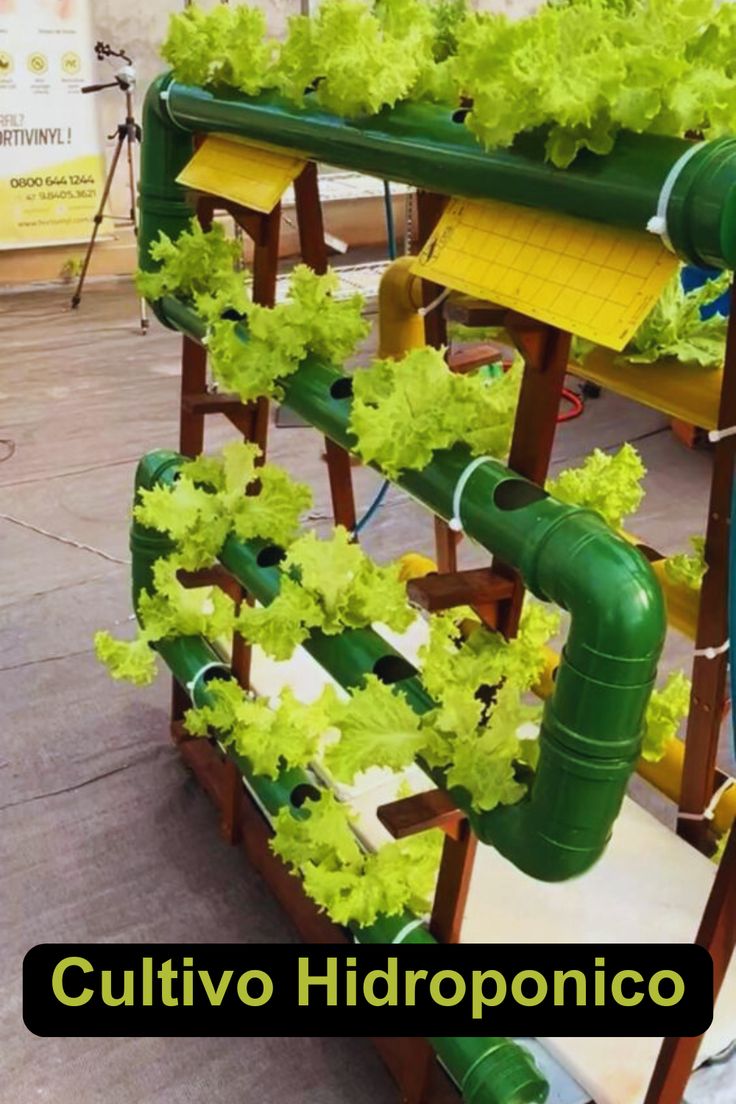 How its Works | a hydroponic system designed to grow lettuce in ...
