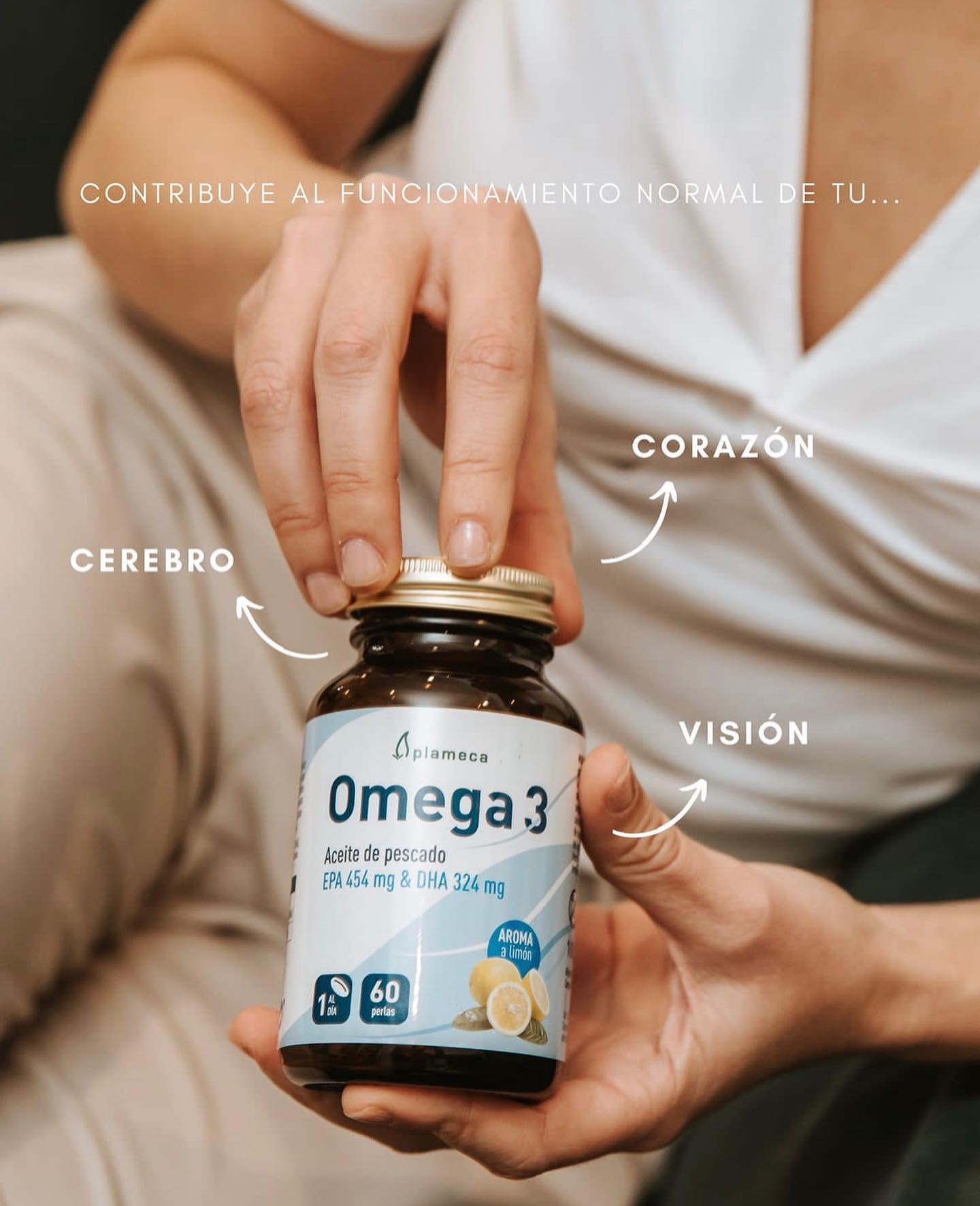 Plameca - El OMEGA 3 es clave para mantener el funcionamiento normal ...