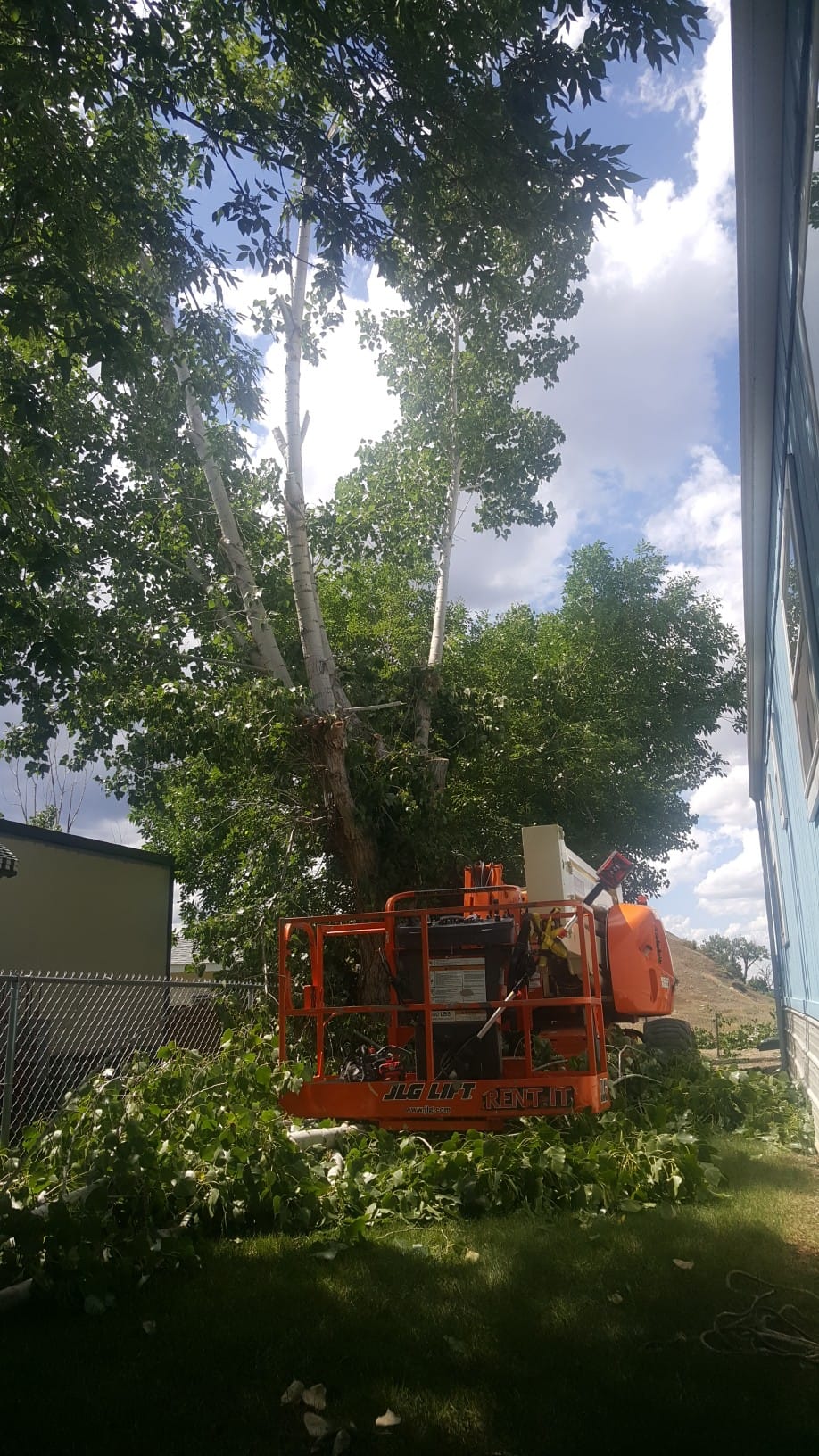 RS Custom Firewood Supply and Tree Service