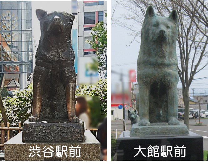 JR東日本 - 『2つの駅の忠犬ハチ公』 渋谷駅の改札口の名称にもなって