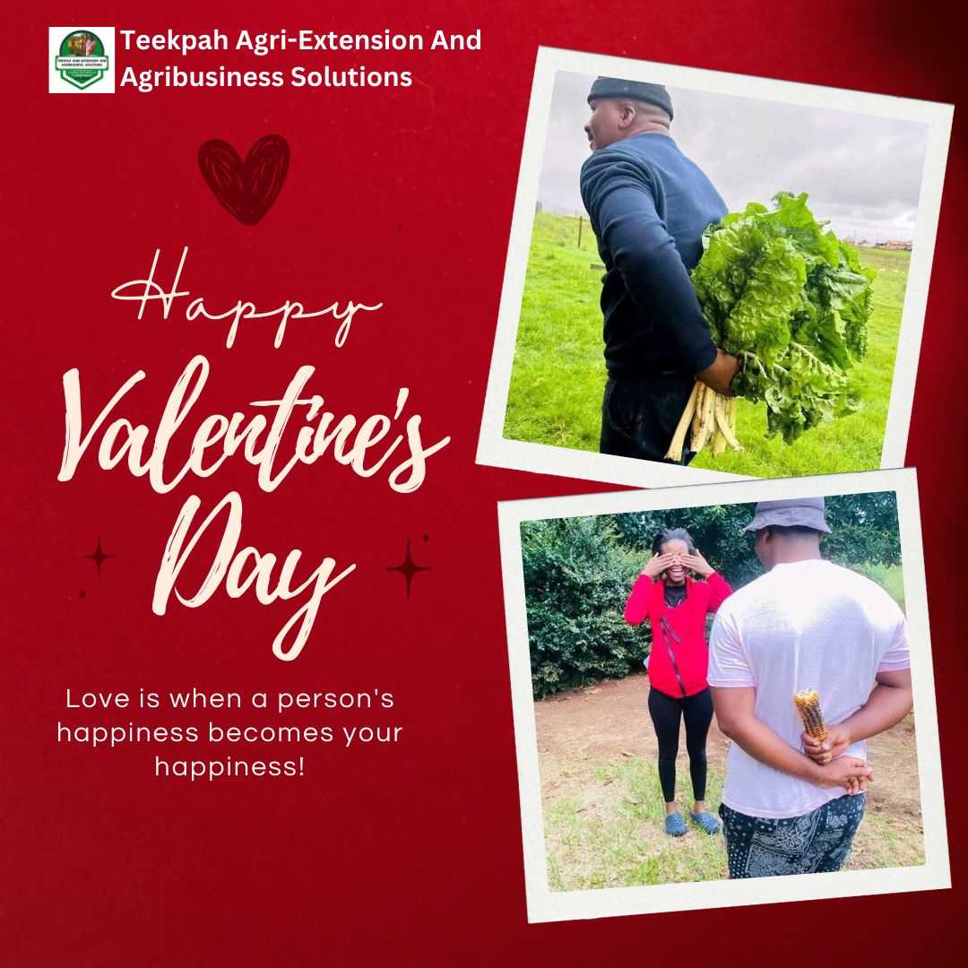 TAAS Agric Multimedia
