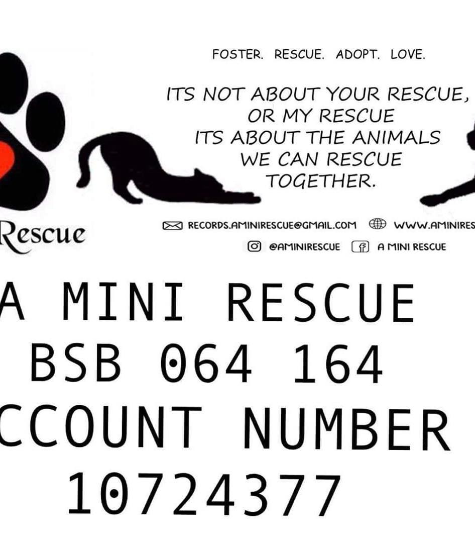 A Mini Rescue | Brisbane QLD