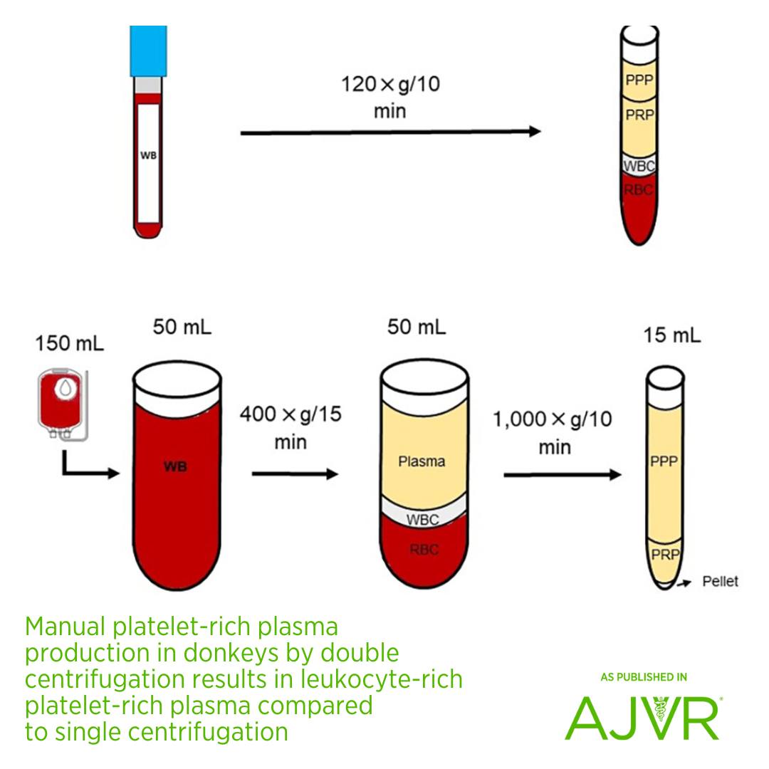 American - Manual methods of producing PRP in horses can be used to ...