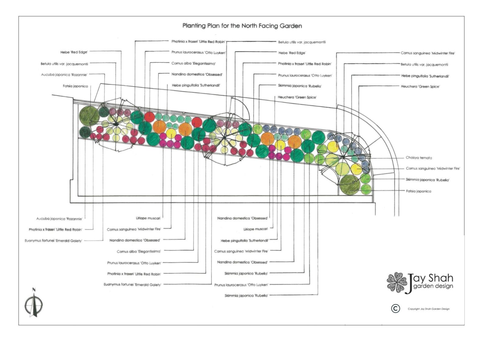How to Design a South Facing Garden: Expert Tips