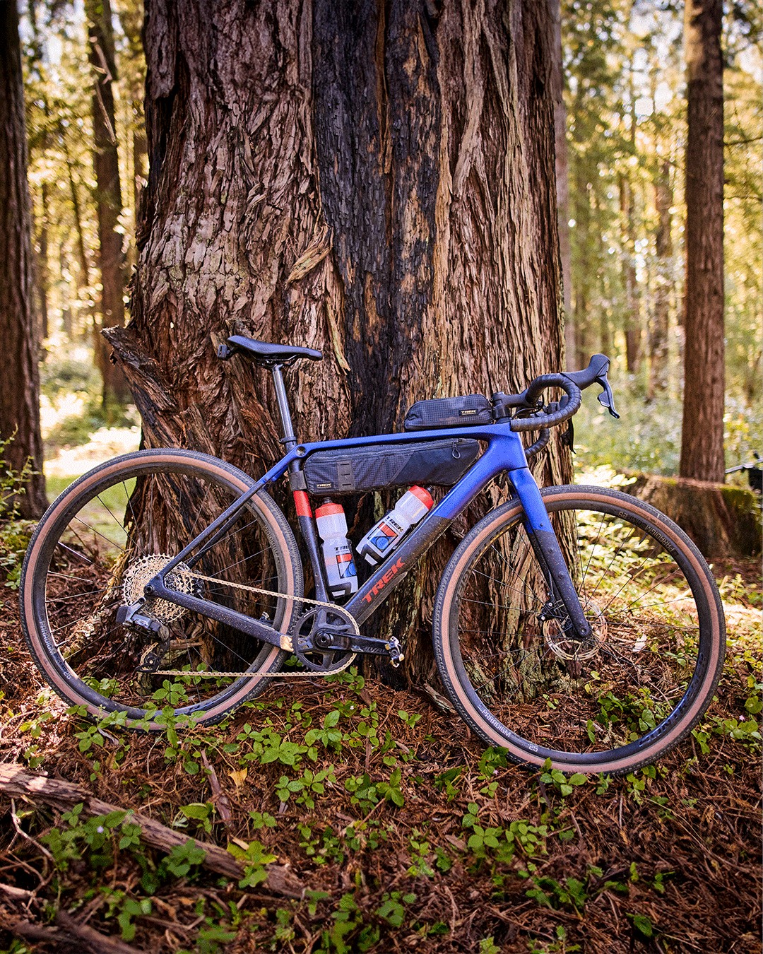 trek bicycle aachen Domane AL 5 Gen 4 This bike is equipped with a 28 Trek CheckOUT SL 7 AXS