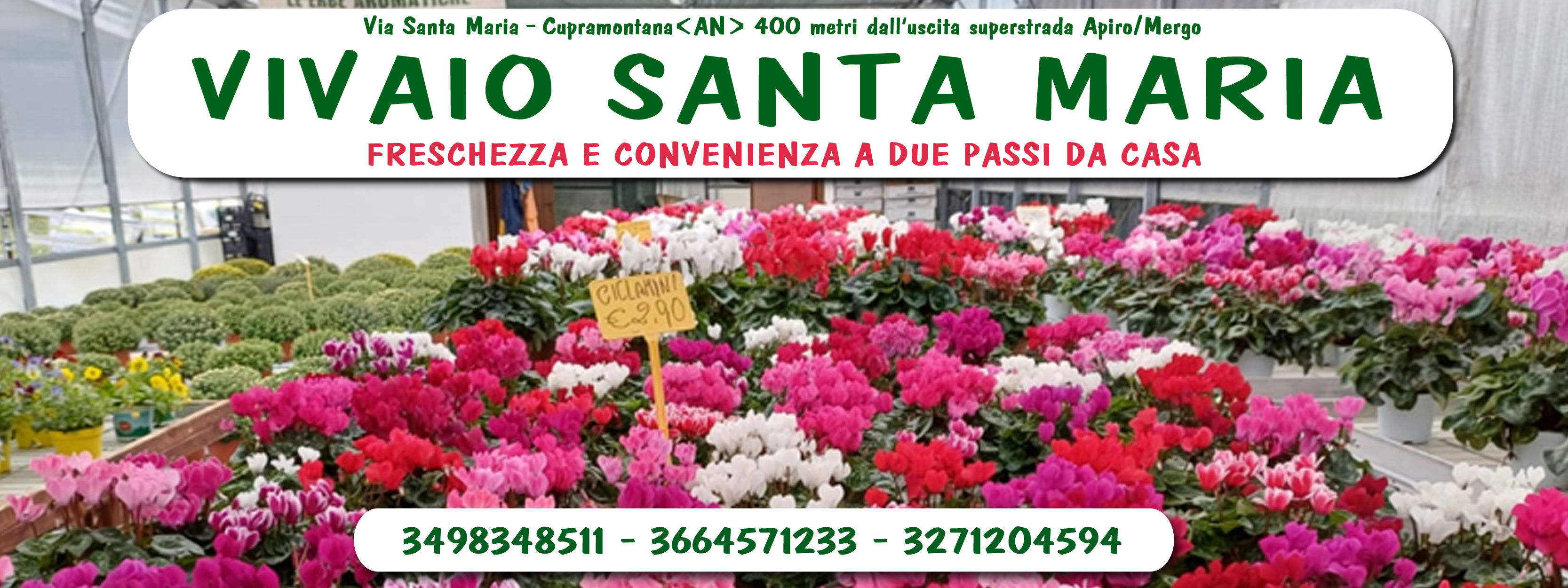 vivaio-santa-maria-cupramontana