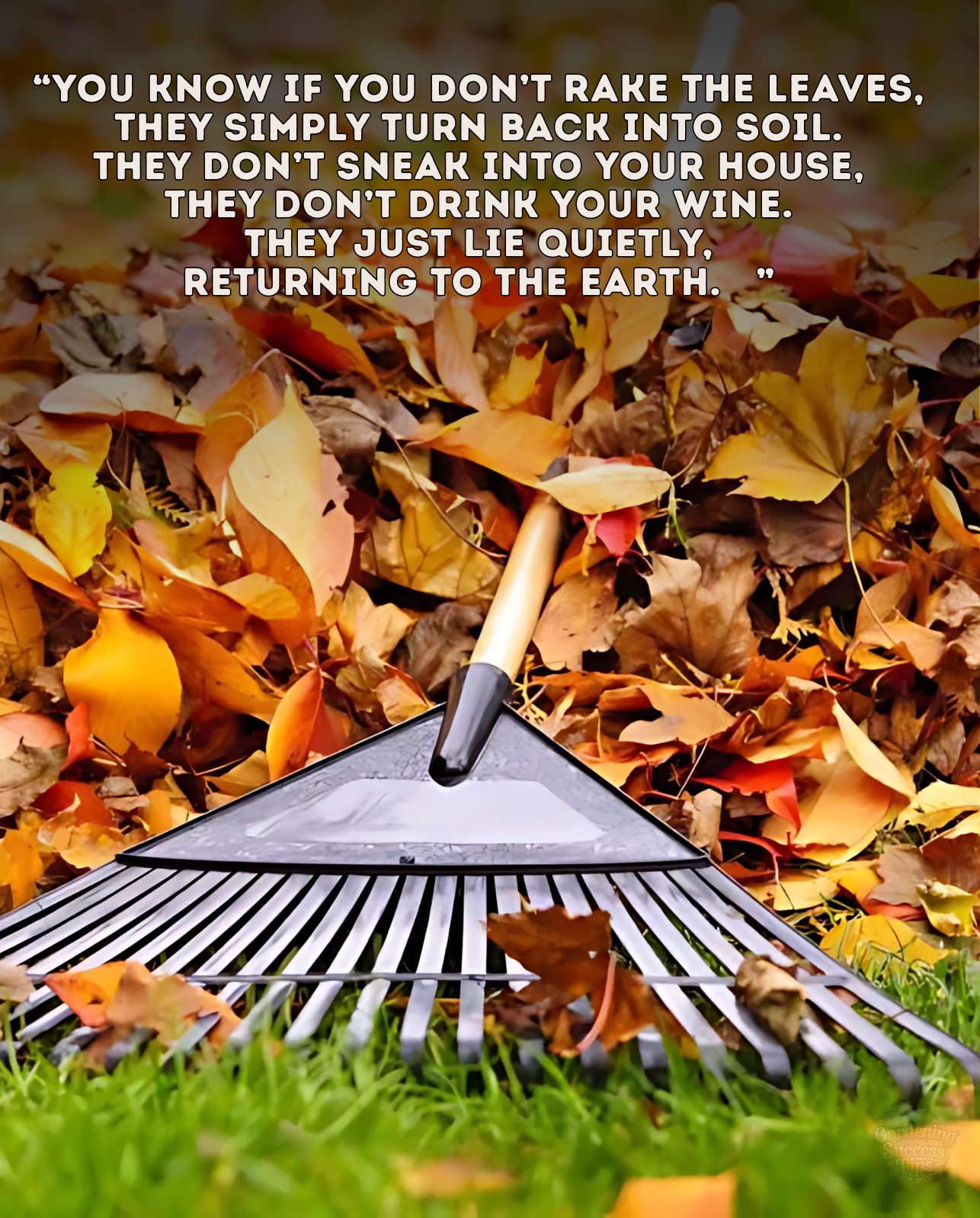 🍂 Fallen leaves aren’t “mess.”... - Gardening Success Tips | Facebook