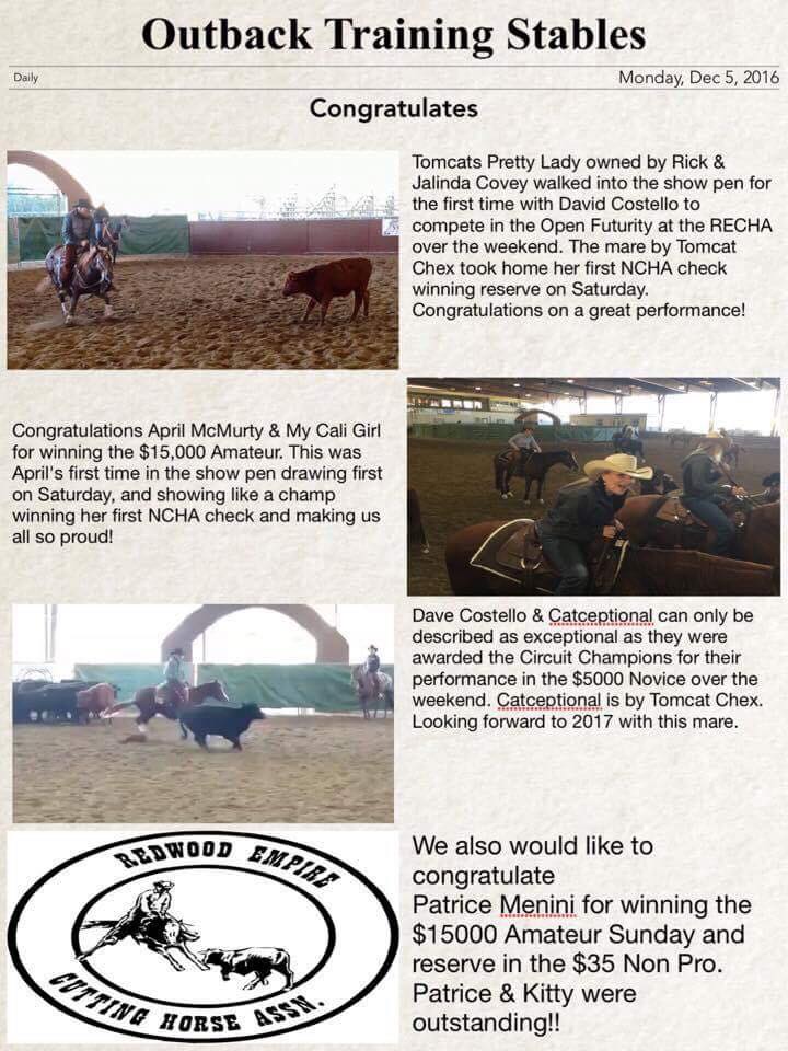 Outback Training Stables