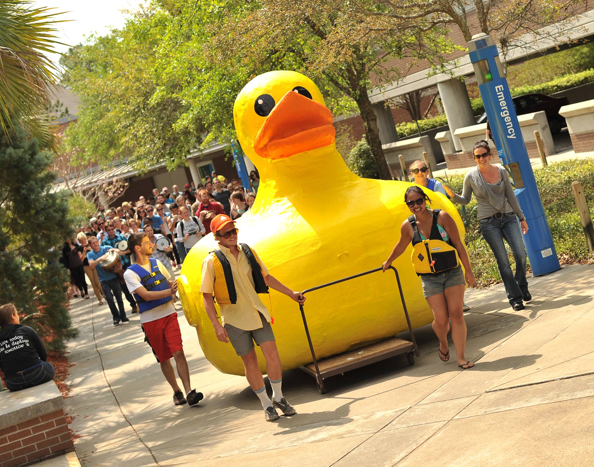 UNF Admissions - We are all sad that Sgt. Quackers won't... | Facebook