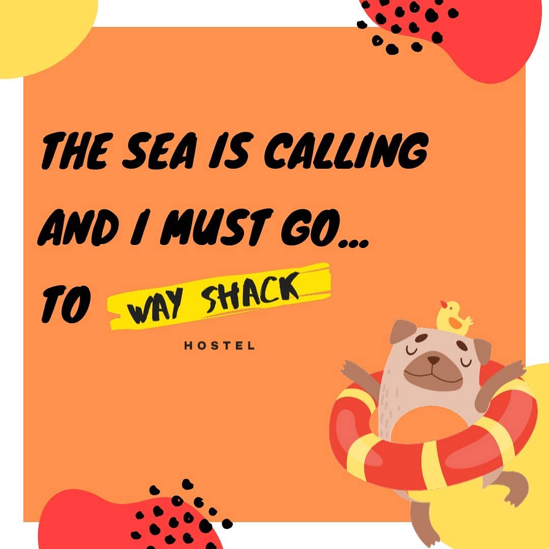 wayshackhostel | Oslob