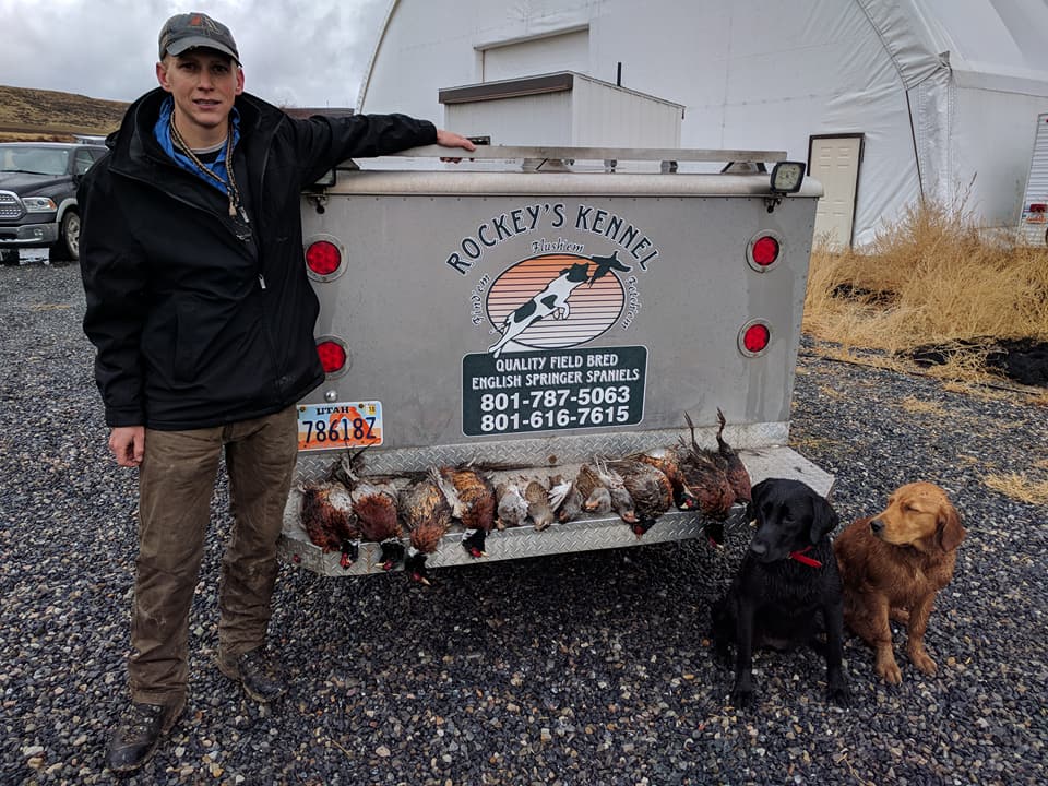 Cache Canyon K9 - Great day with these pups in the field....