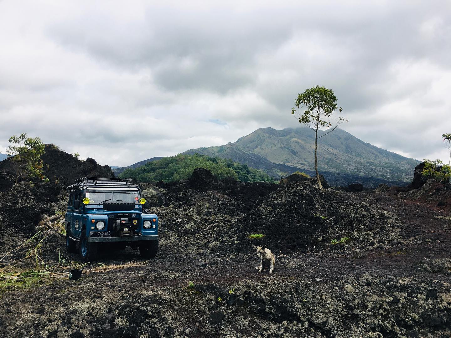 Land Rover tour in Bali | Ubud