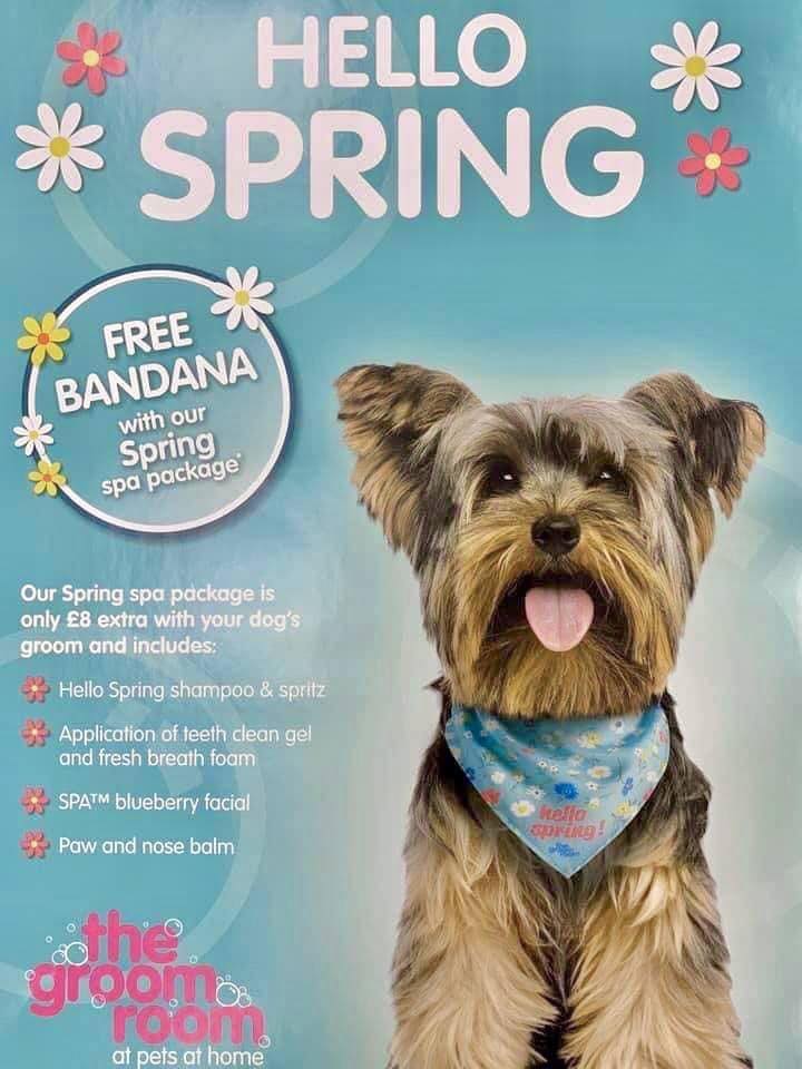 Pets at Home and Groom Room Erdington - 👋🏻 HELLO SPRING! 🌷☀️🍃 our ...