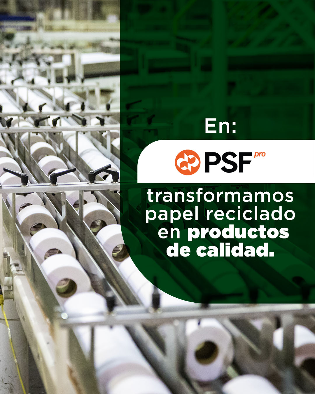 PSF Profesional - ¡Descubre la magia detrás de cada hoja... | Facebook
