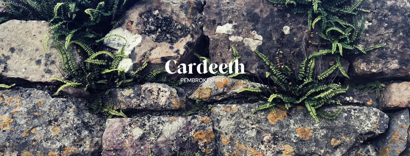 Cardeeth | Cresselly