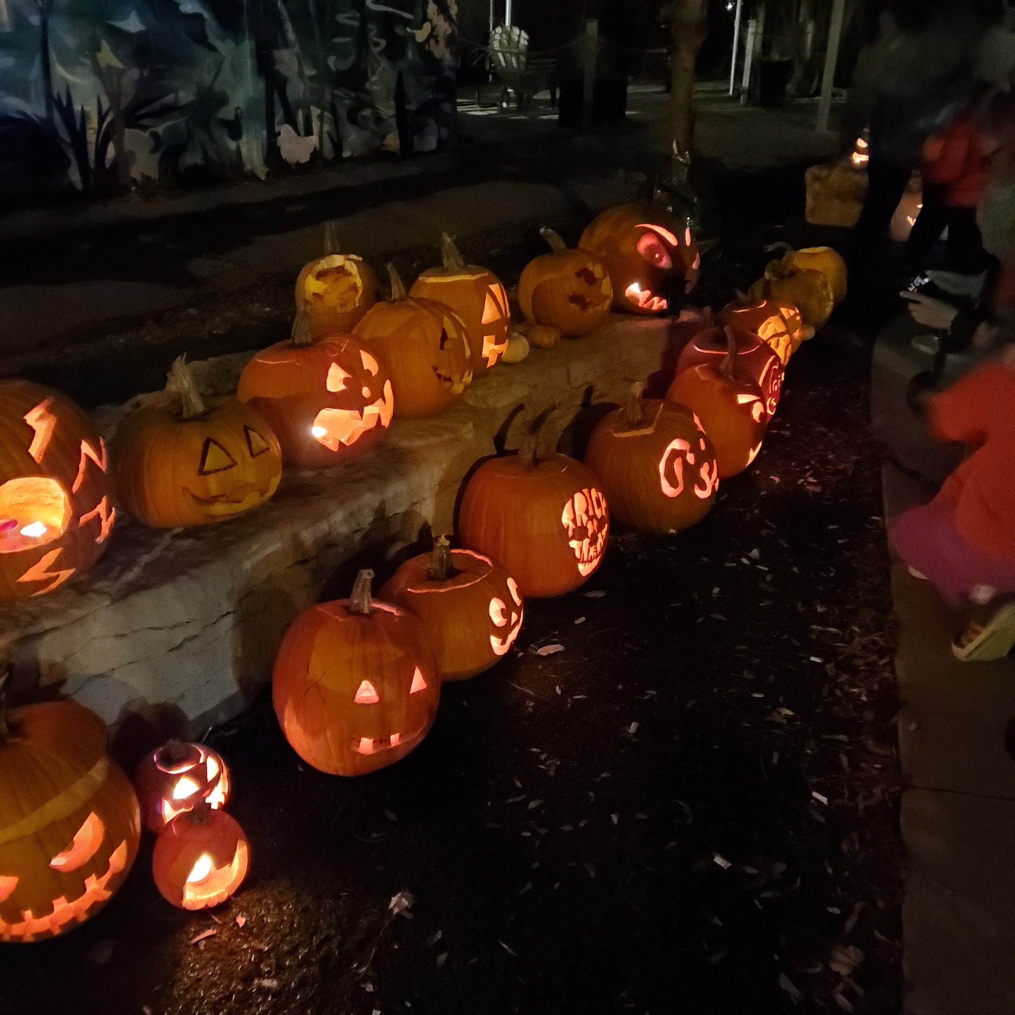 Mimico Pumpkin Parade