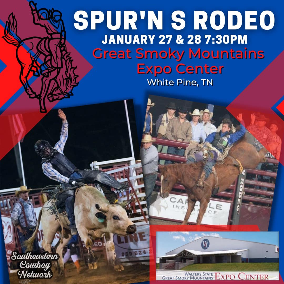 Spur'n S Rodeo