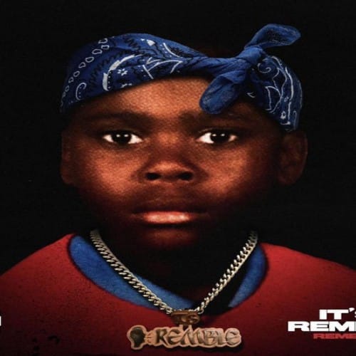 Beat Name: EVOLUTION | Remble x Lil... - MusiChanges Life's