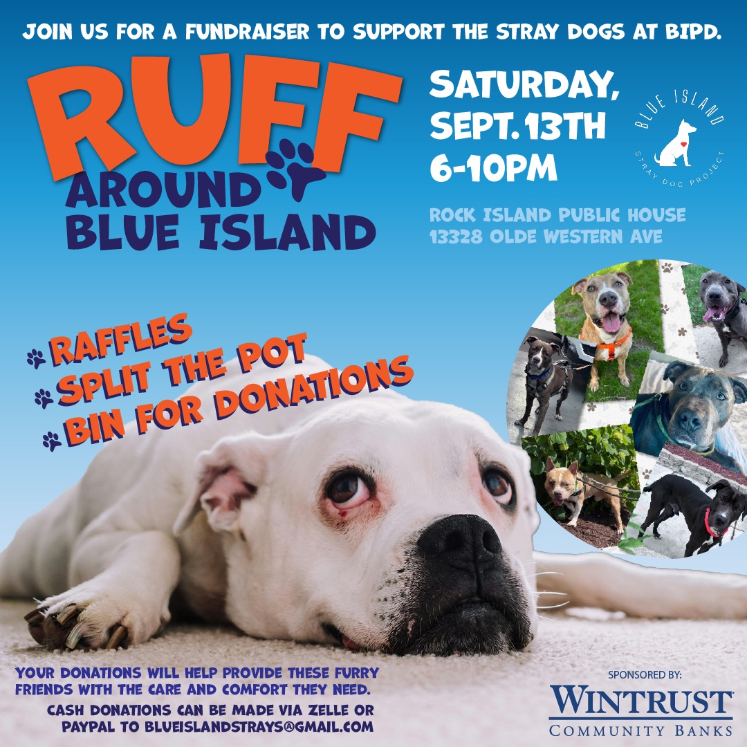 Ruff Around Blue Island