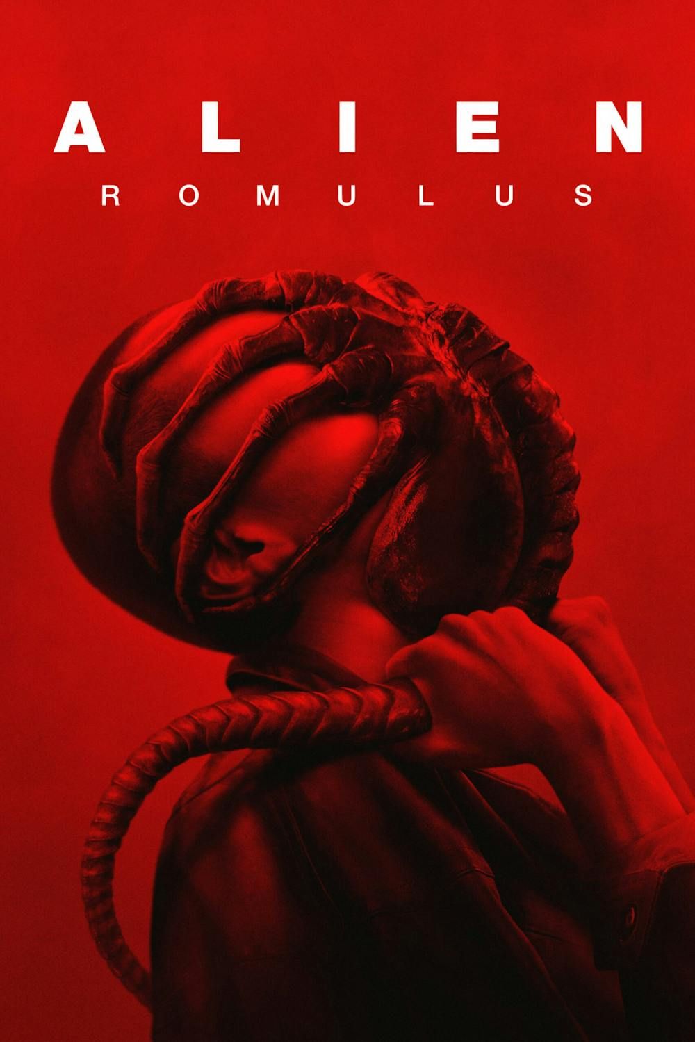 The Oscar Watcher - The Oscar Nominations 2025 ALIEN: ROMULUS (HULU ...