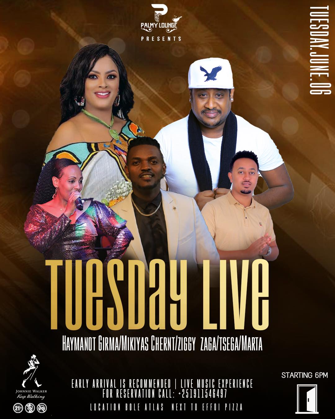 Palmy - Catch your Favorite Iconic Artists at Palmy Lounge,Addis Ababa ...
