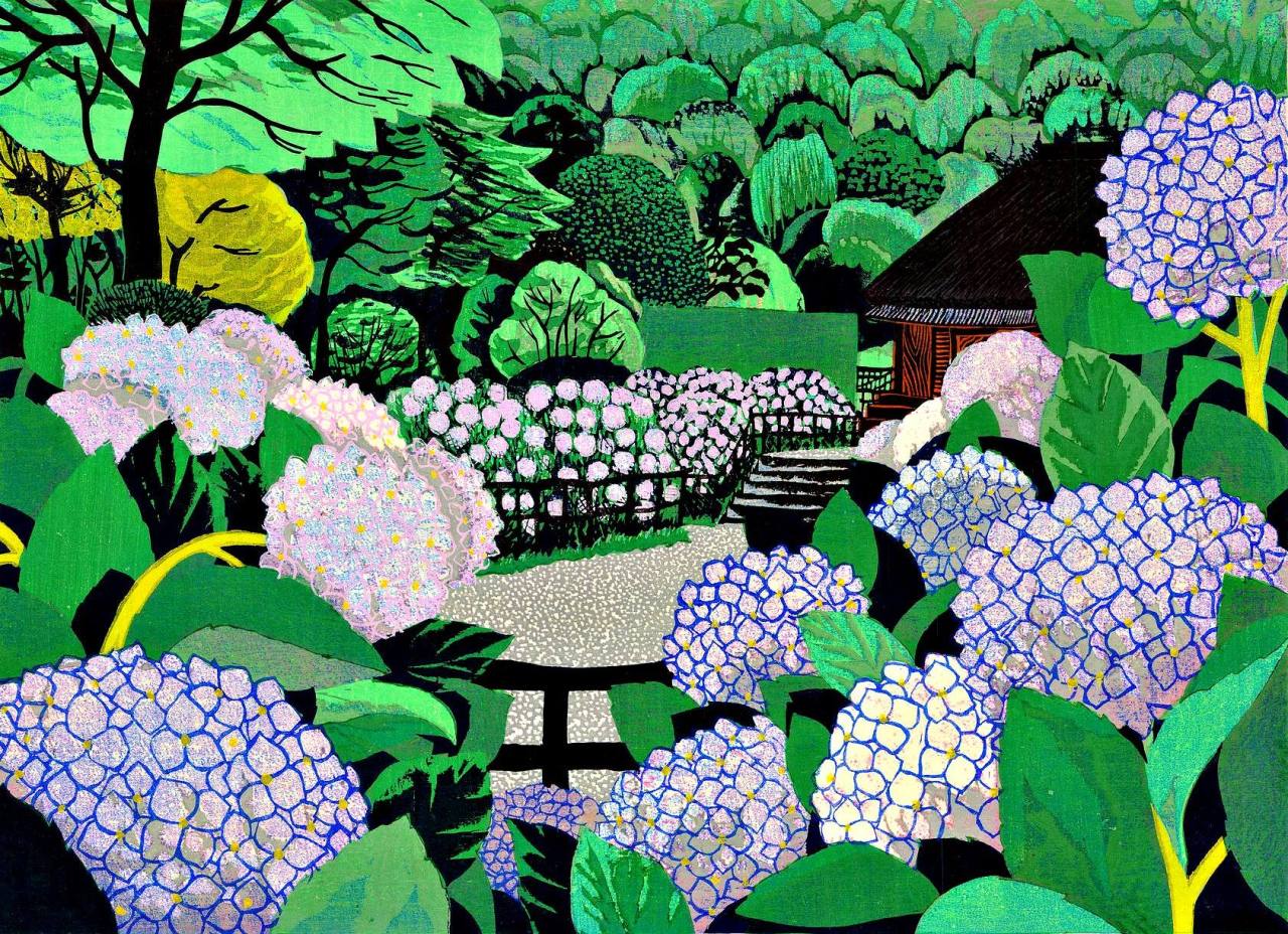 Hydrangeas in Summer