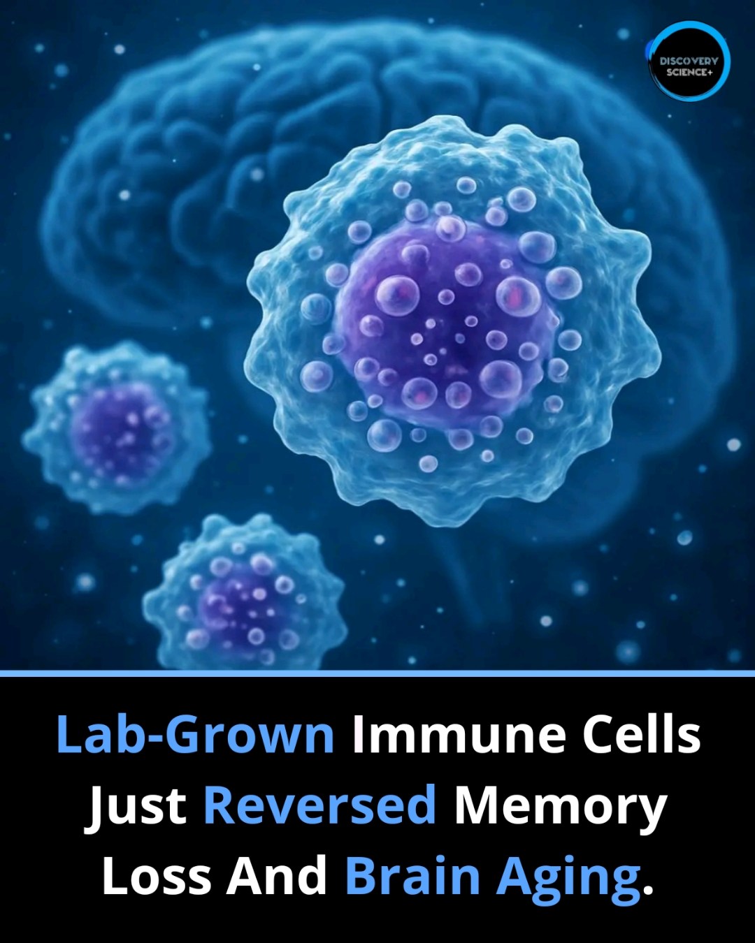 AMAZING FACTS | 🧠💉 Scientists Reversed Memory Loss Using Lab-Grown ...