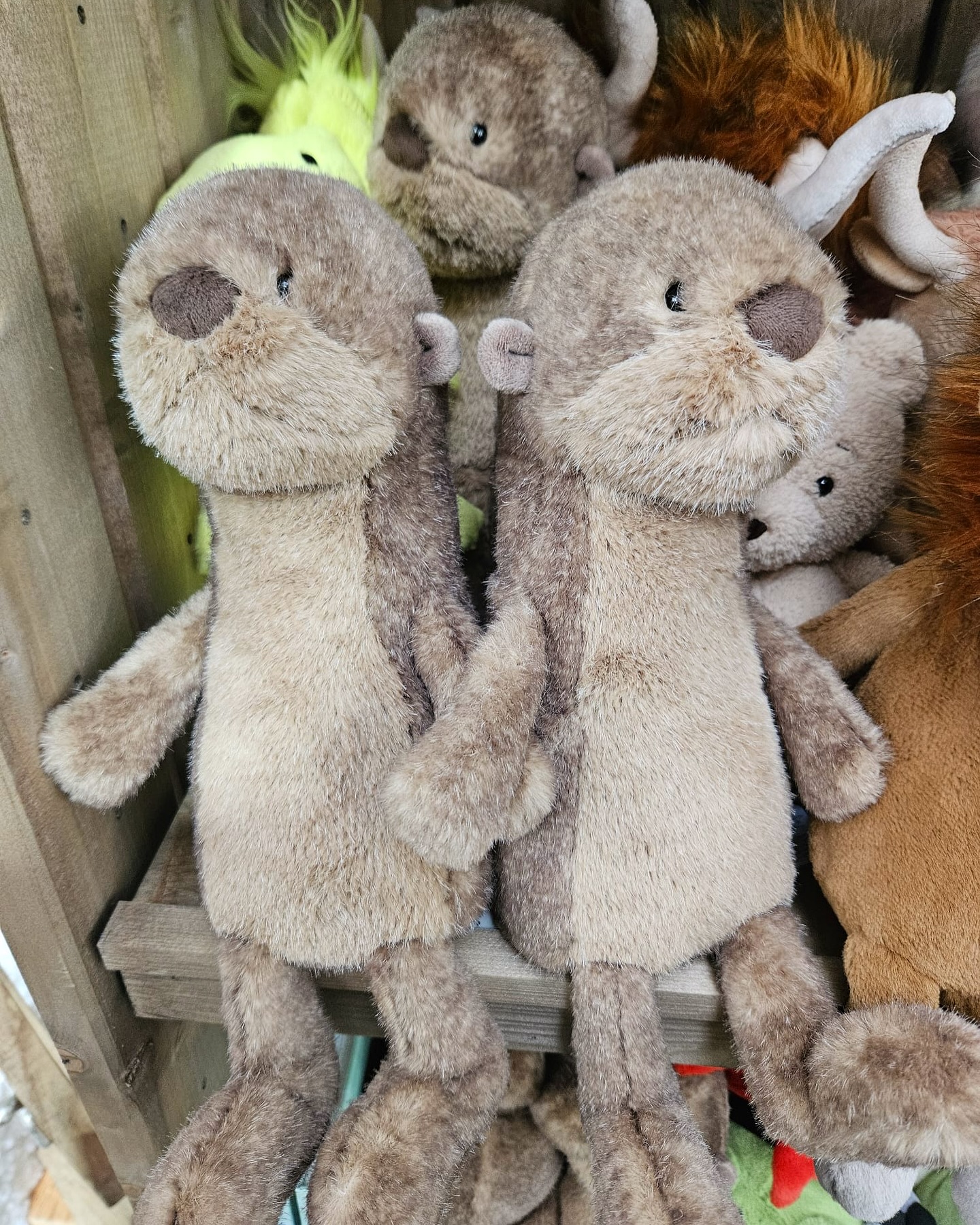 Otterly adorable 🦦 🧸 Brand new Brooke Otter from @jellycat