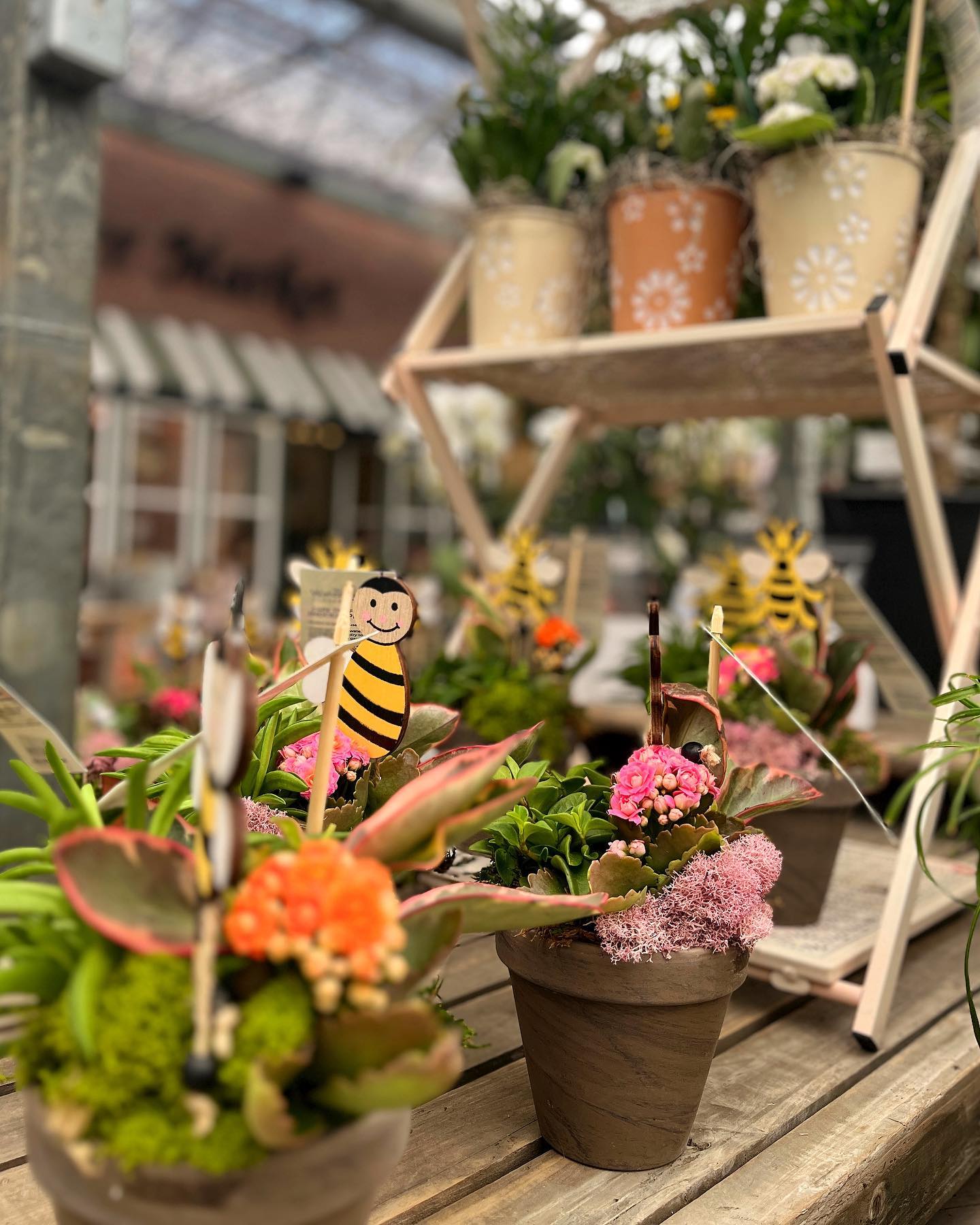 Show your appreciation to... - The Watering Can Flower Market | Facebook
