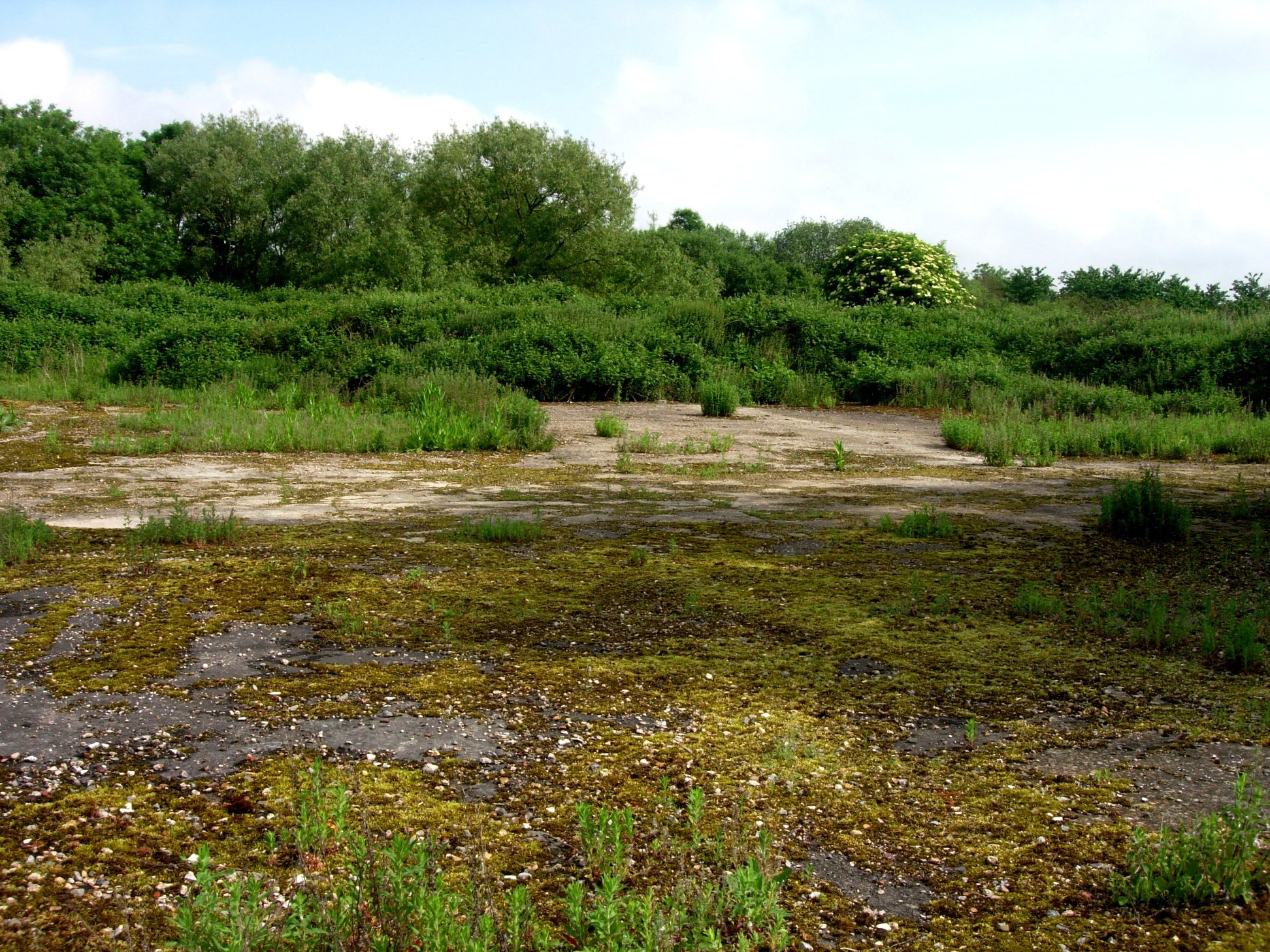 The site of Covingham Farm which... - Strolling in Swindon | Facebook