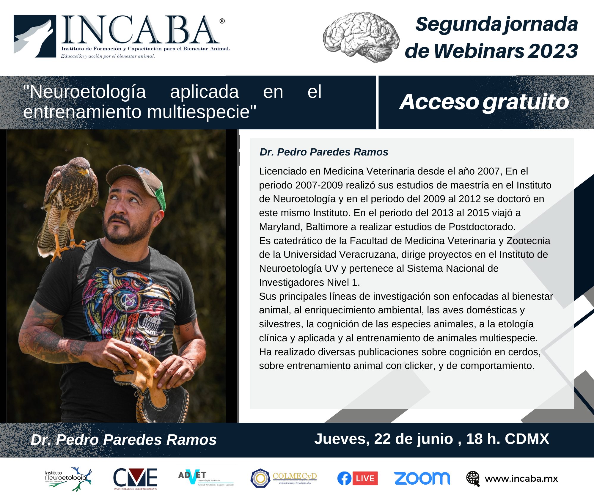 🛑 ¡Alerta INCABA!‼️... - Incaba Servicios Profesionales
