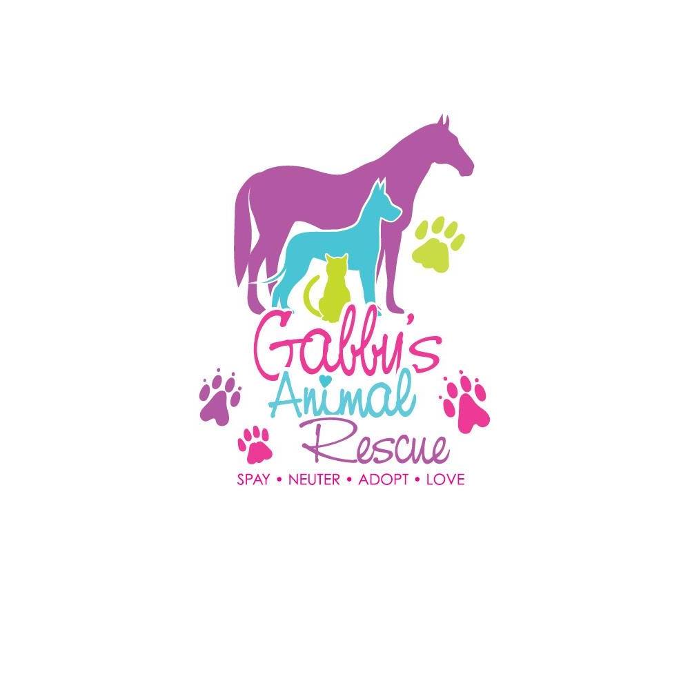 ***ADOPTED*** Name: Matthew... - Gabbys Animal Rescue, Inc. | Facebook