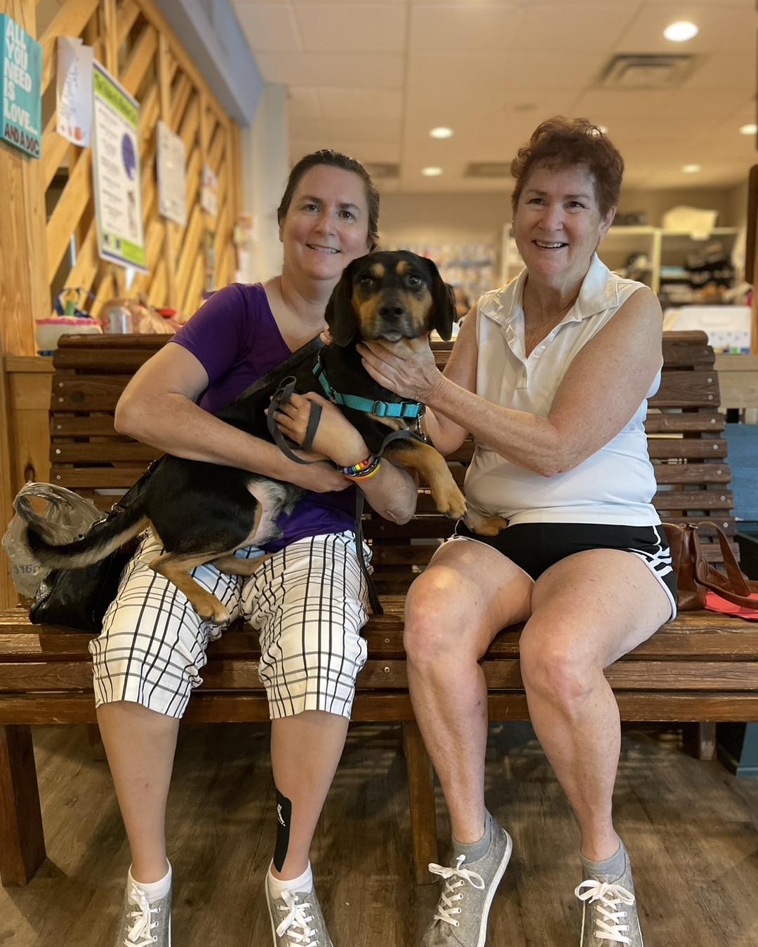 Good boy, Sam! Happy tails... - Flagler Humane Society Inc. | Facebook