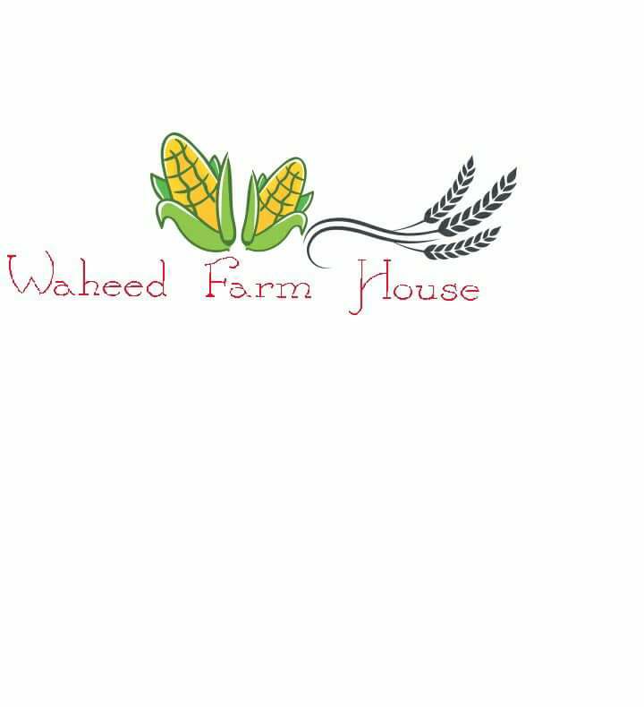 Waheed Form House