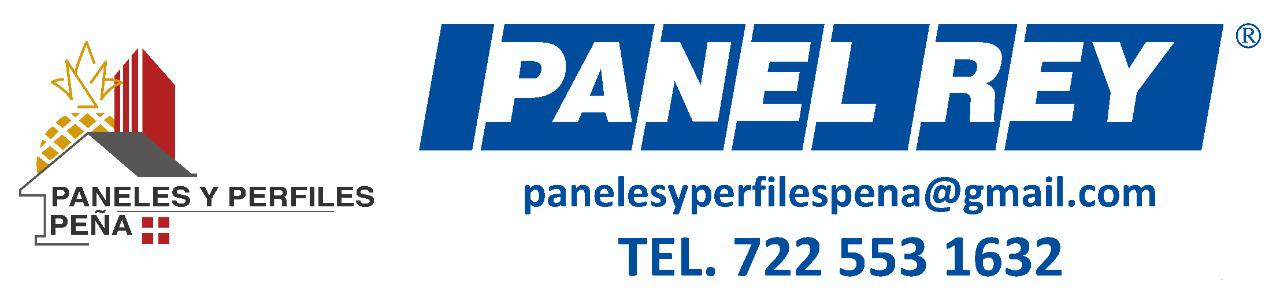 PANEL REY | Toluca