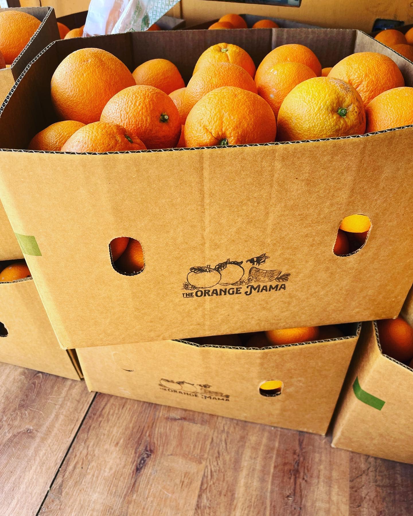 The Orange Mama | Bend OR
